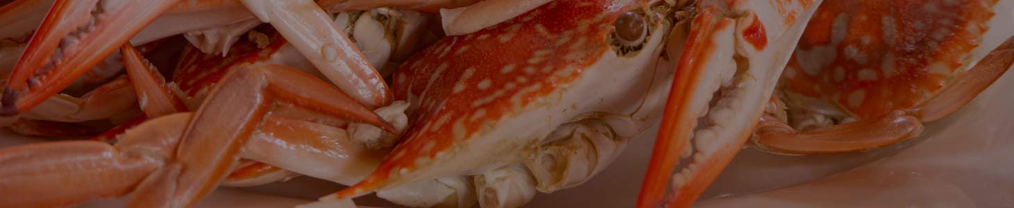 Visit Bay St. Louis Cuisine