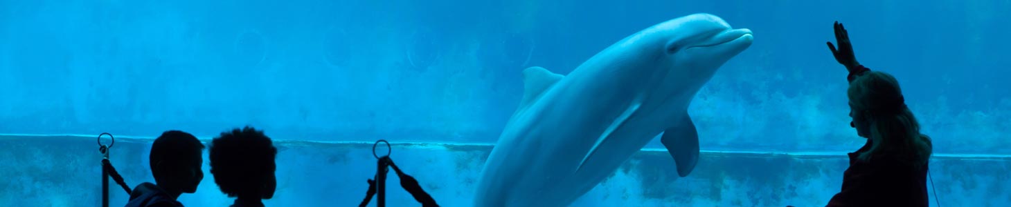 Gulfport Visitor Attractions