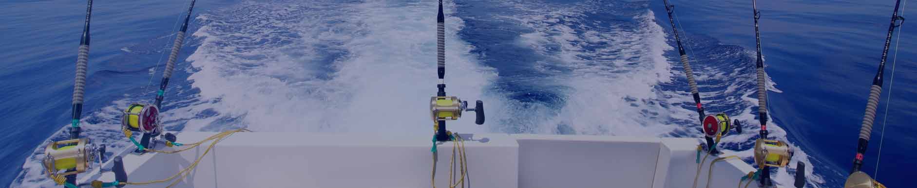 Charter Fishing Long Beach