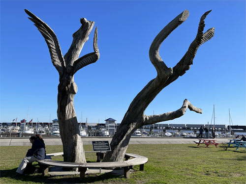 Katrina Oak Tree Sculpture in Bay St. Louis